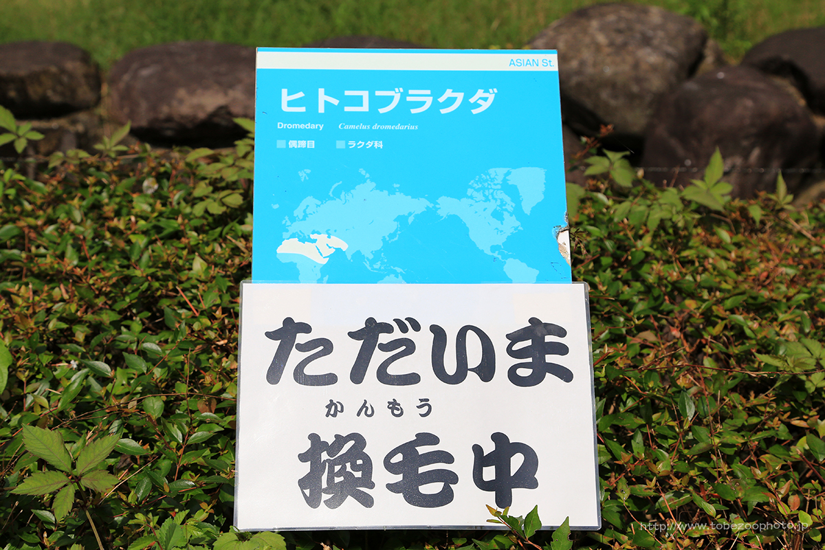 お着替え中につき。