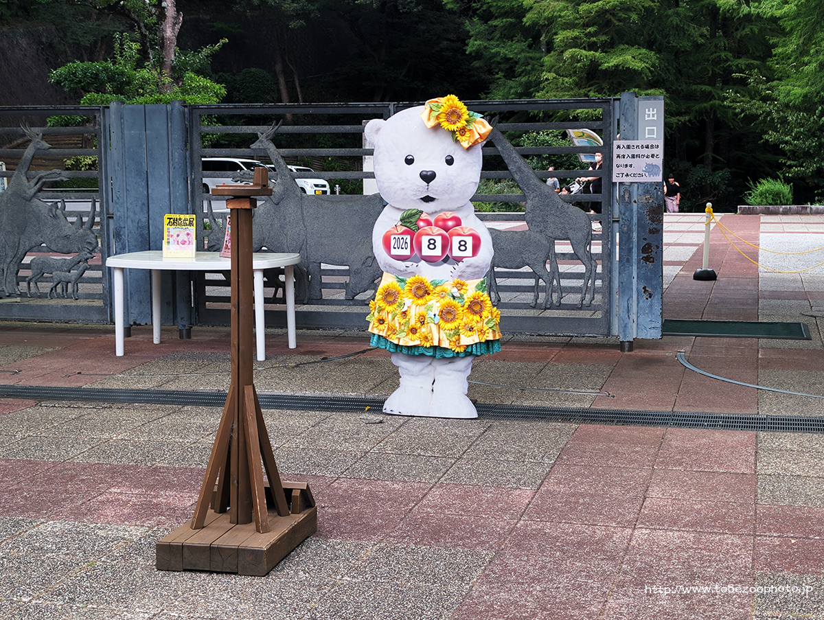 夜の動物園|8月8日の記録