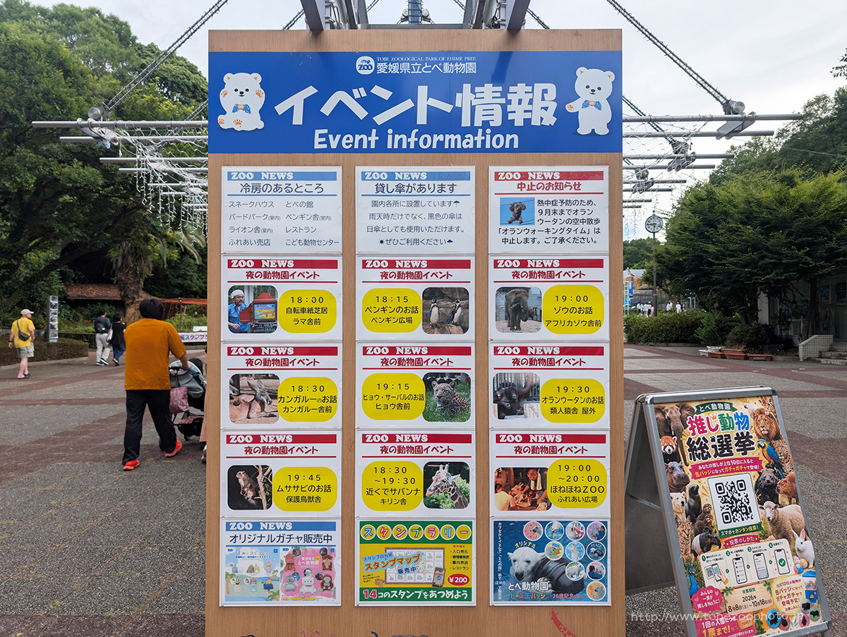 入園直後、みんなで最初の撮影会、作戦会議。