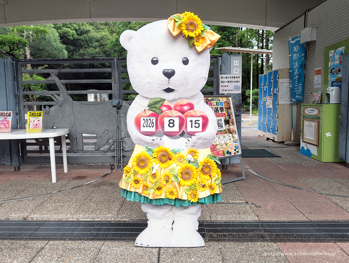 Welcome Summer Gate